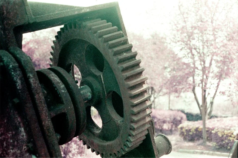 p7.jpg