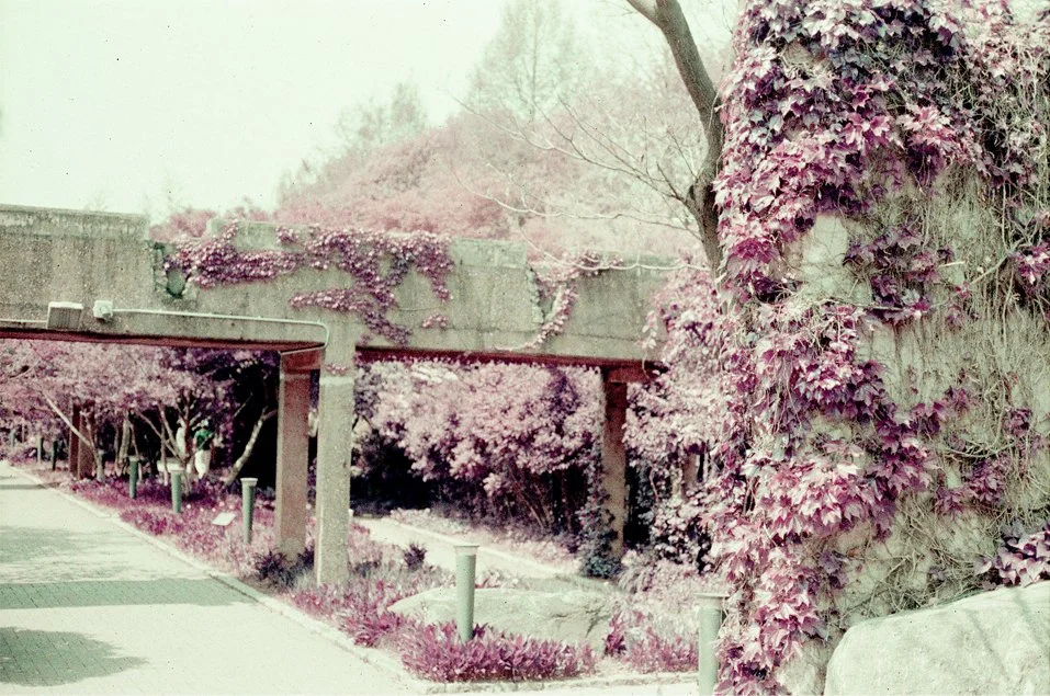 p9.jpg