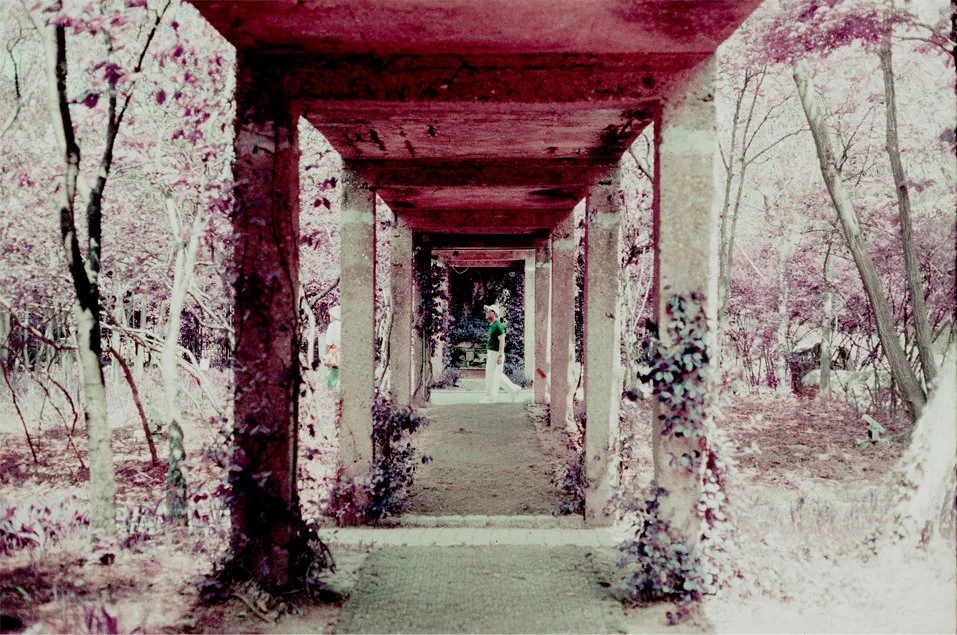 p10.jpg