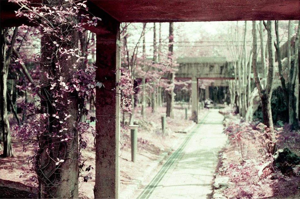 p13.jpg