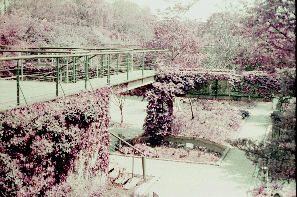 p15.jpg