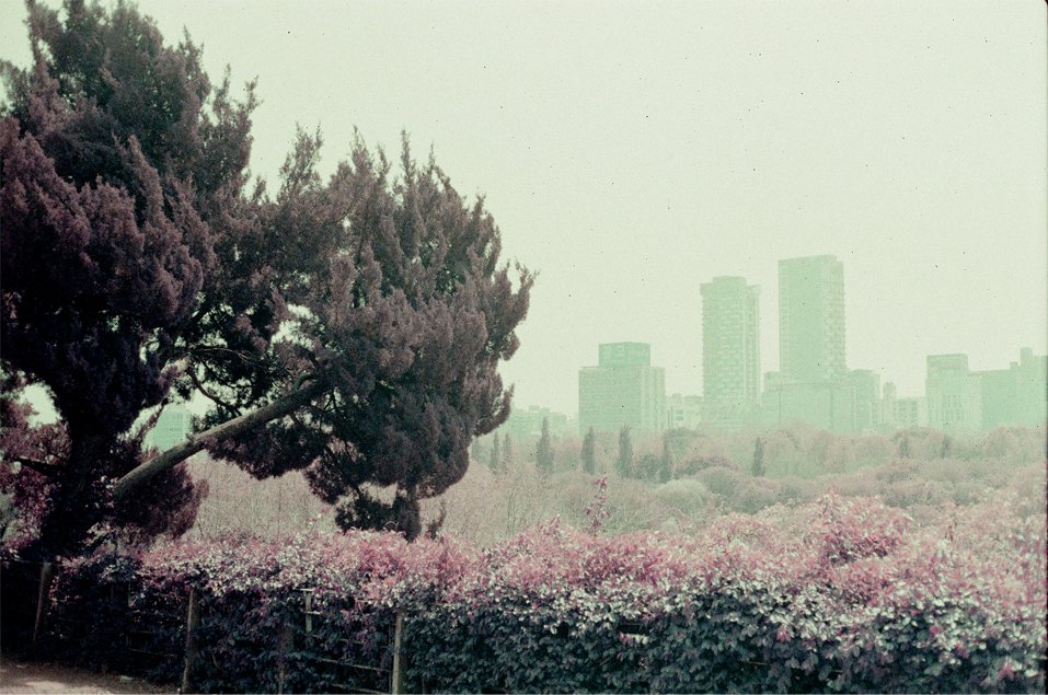 p17.jpg