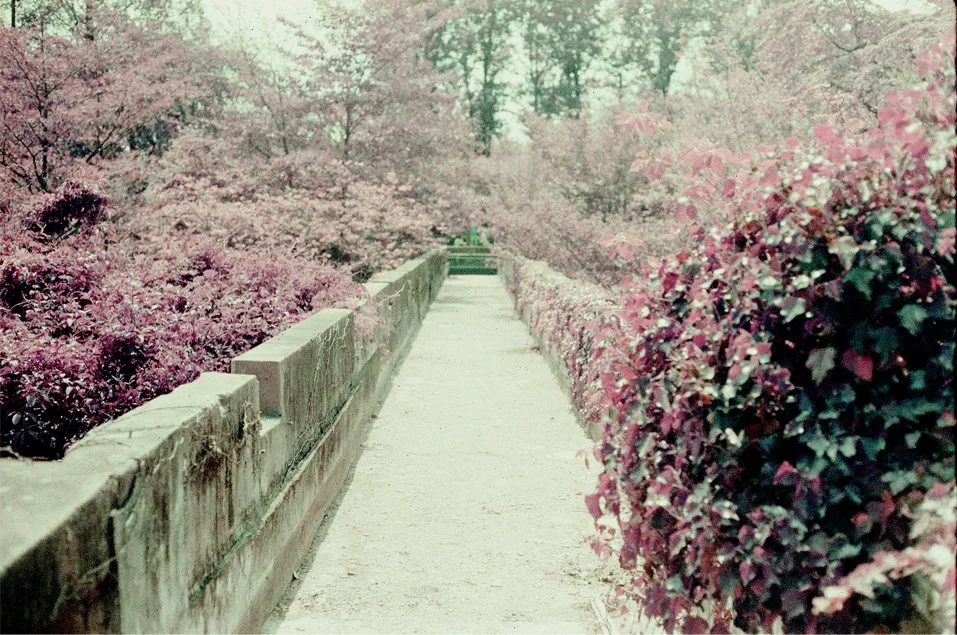 p18.jpg