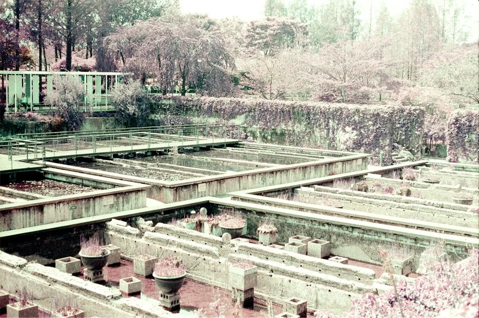 p19.jpg