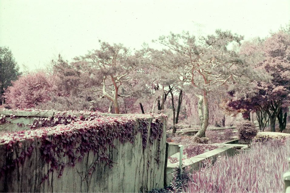 p20.jpg