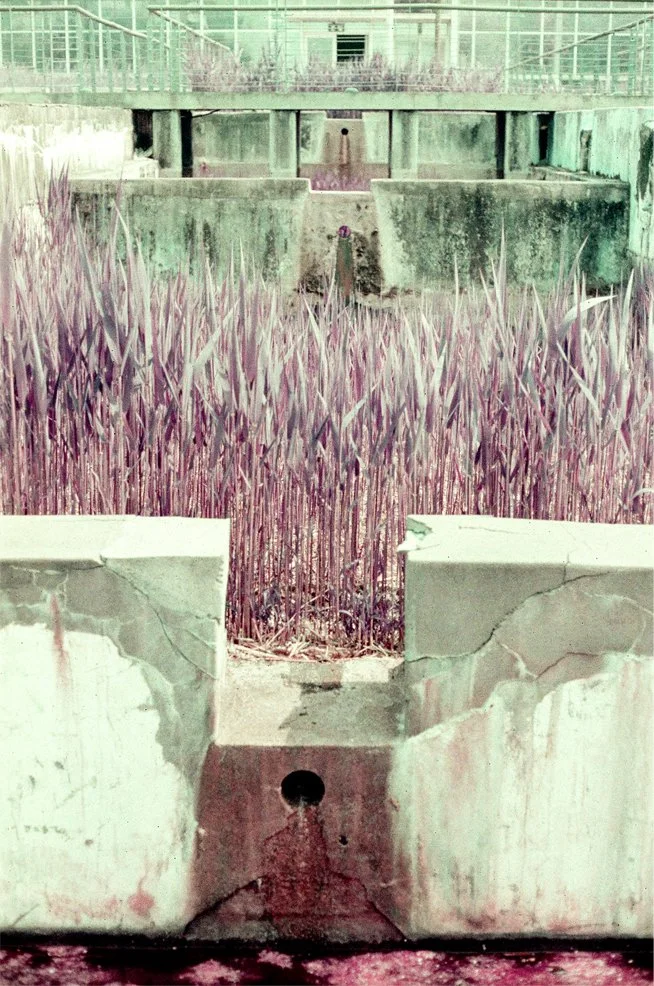 p26.jpg