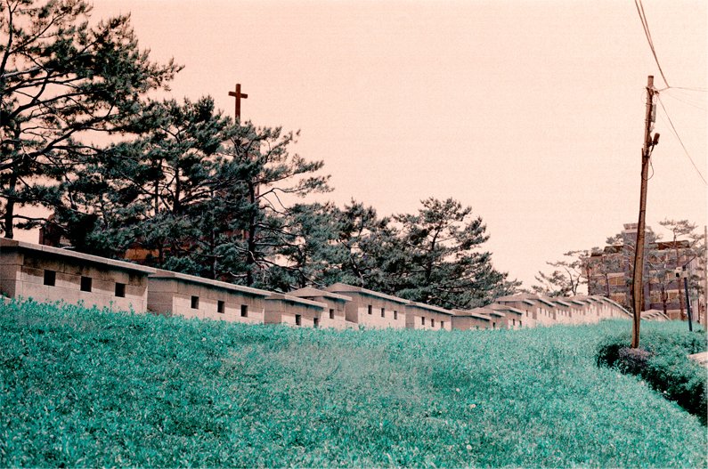 lt10.jpg