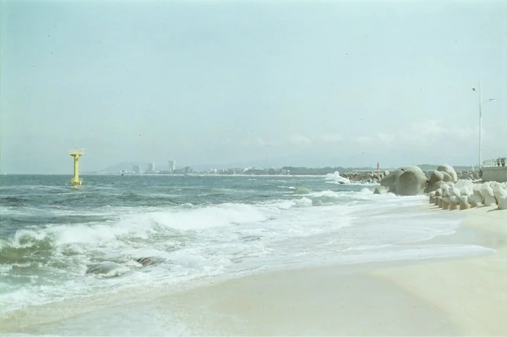 b6.jpg