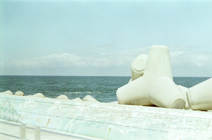 b8.jpg