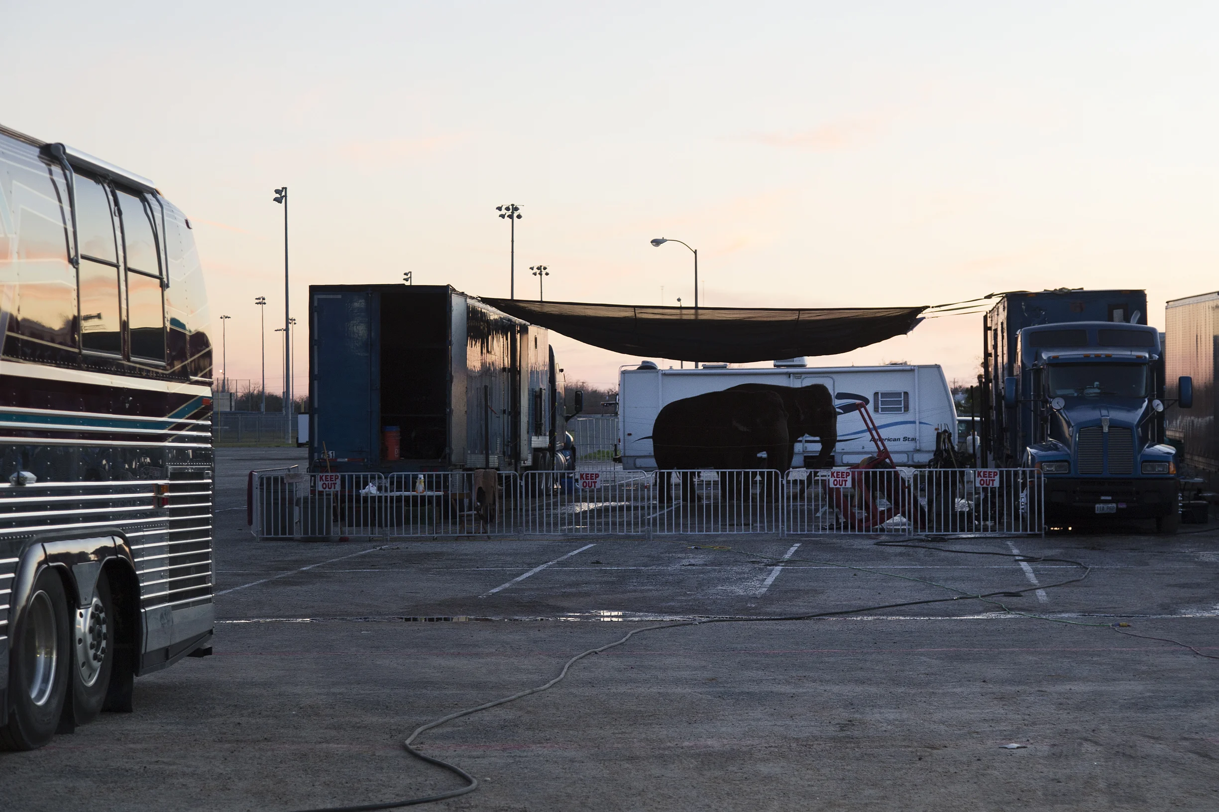 An elephant stands outside of the Al Amin Shrine Circus at the Victoria Community Center Arena on Monday, January 4, 2016.
