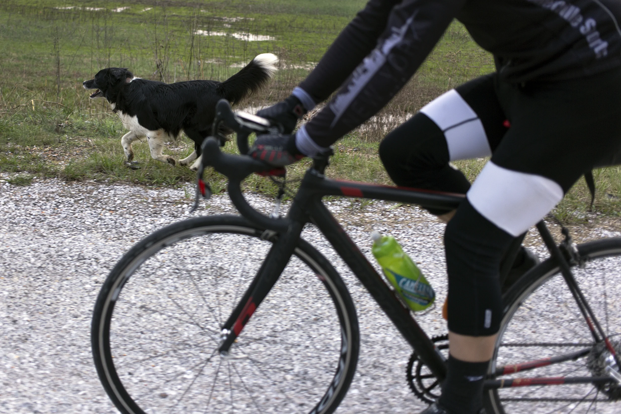 RueAndTrevorBike_11.jpg