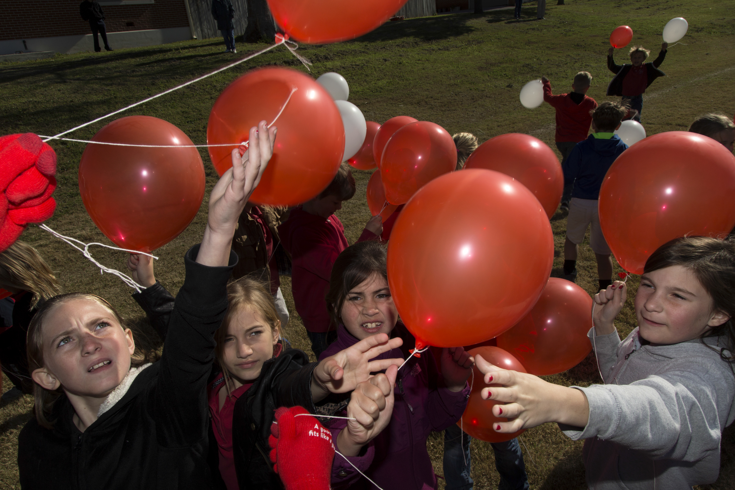Students of Shiner Catholic School grab balloons as part of Catholic Week's balloon launch on Wednesday, February 3, 2016, in Shiner, Texas. Following a countdown from the local radio station, over 600 balloons were released into the sky.