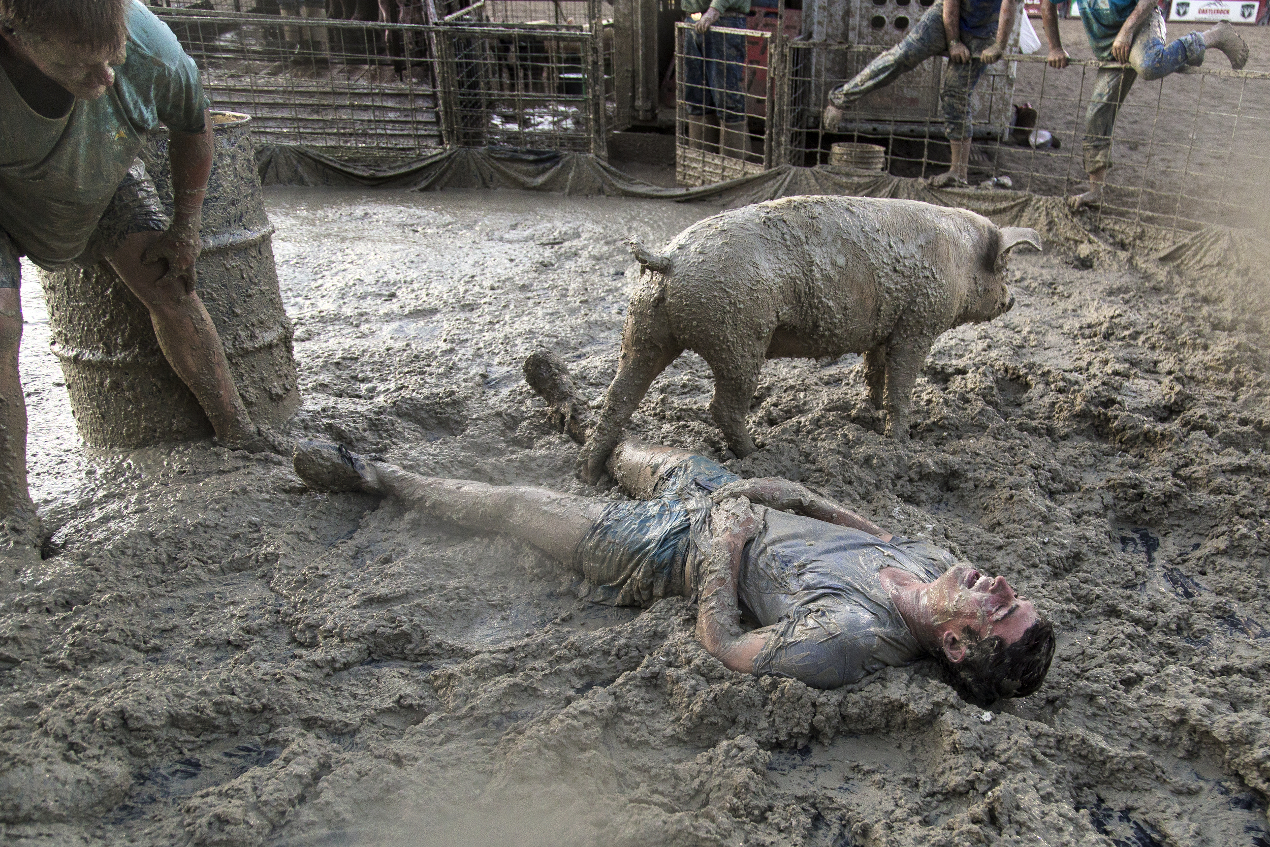 A triumphant pig steps over Cooper Flood during the pig wrestling competition of the Teton County Fair on Thursday, July 28, 2016, in Jackson, Wyo.