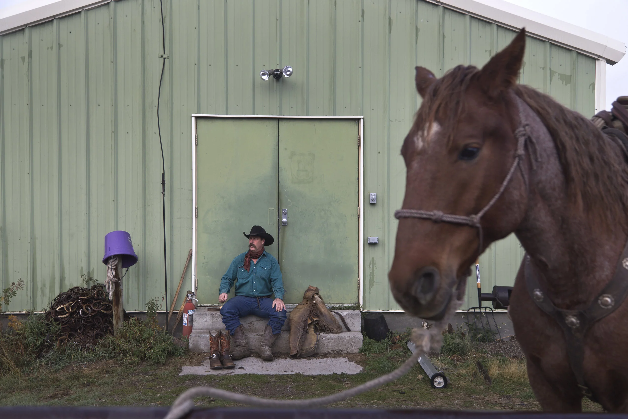 20161116 b blm mustangs 03.jpg