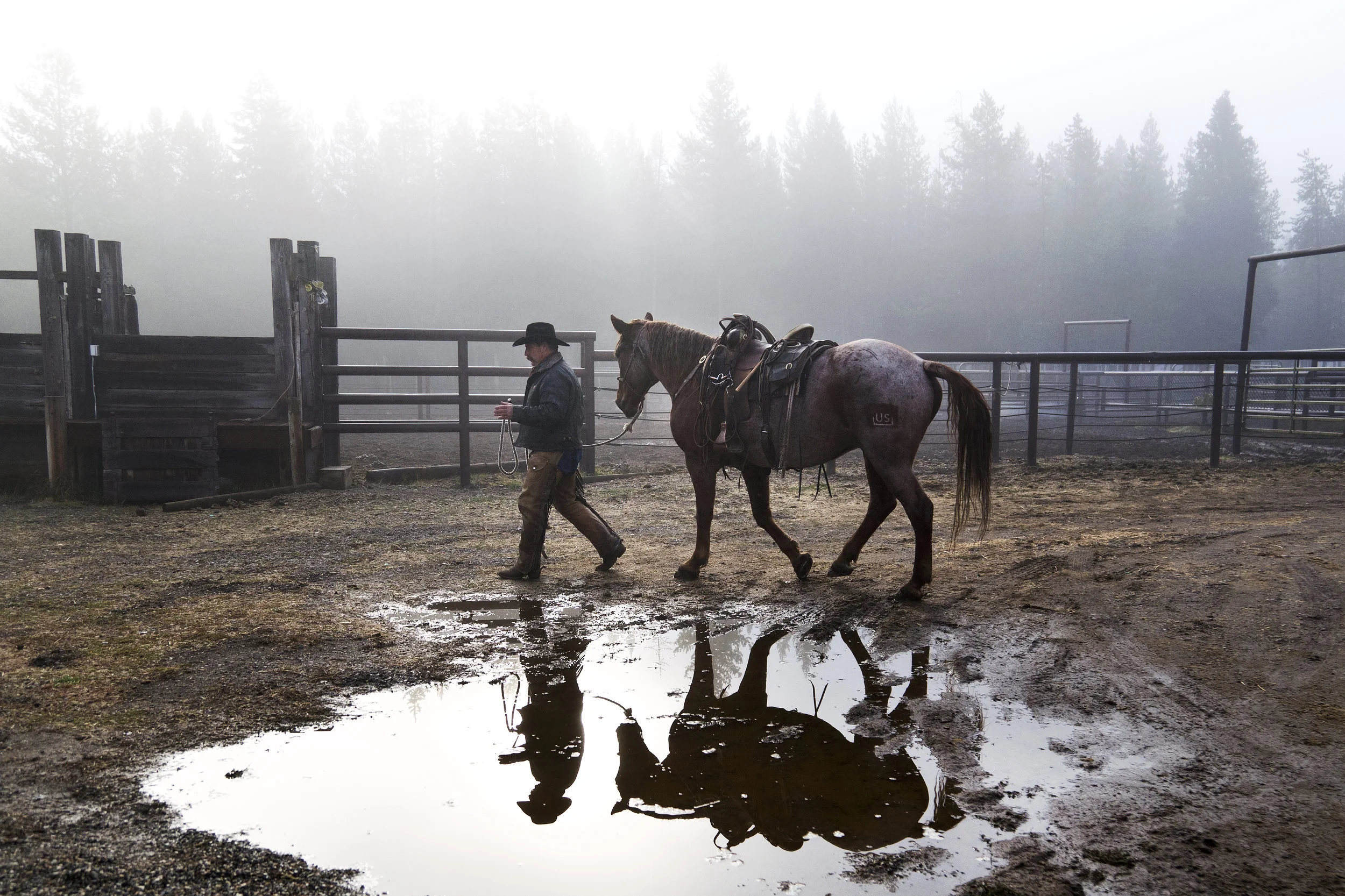 20161116 b blm mustangs 04.jpg