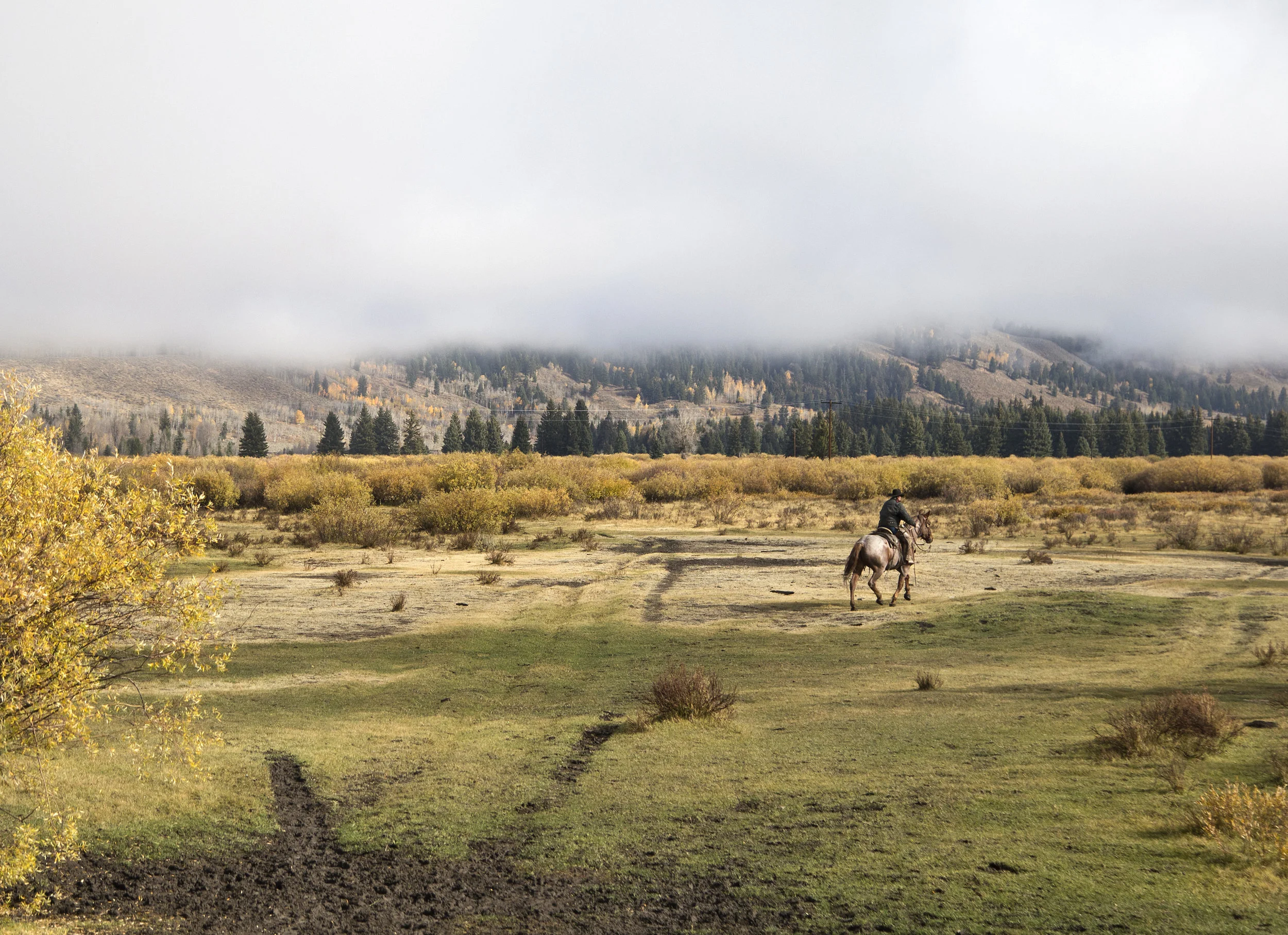 20161116 b blm mustangs 07.jpg