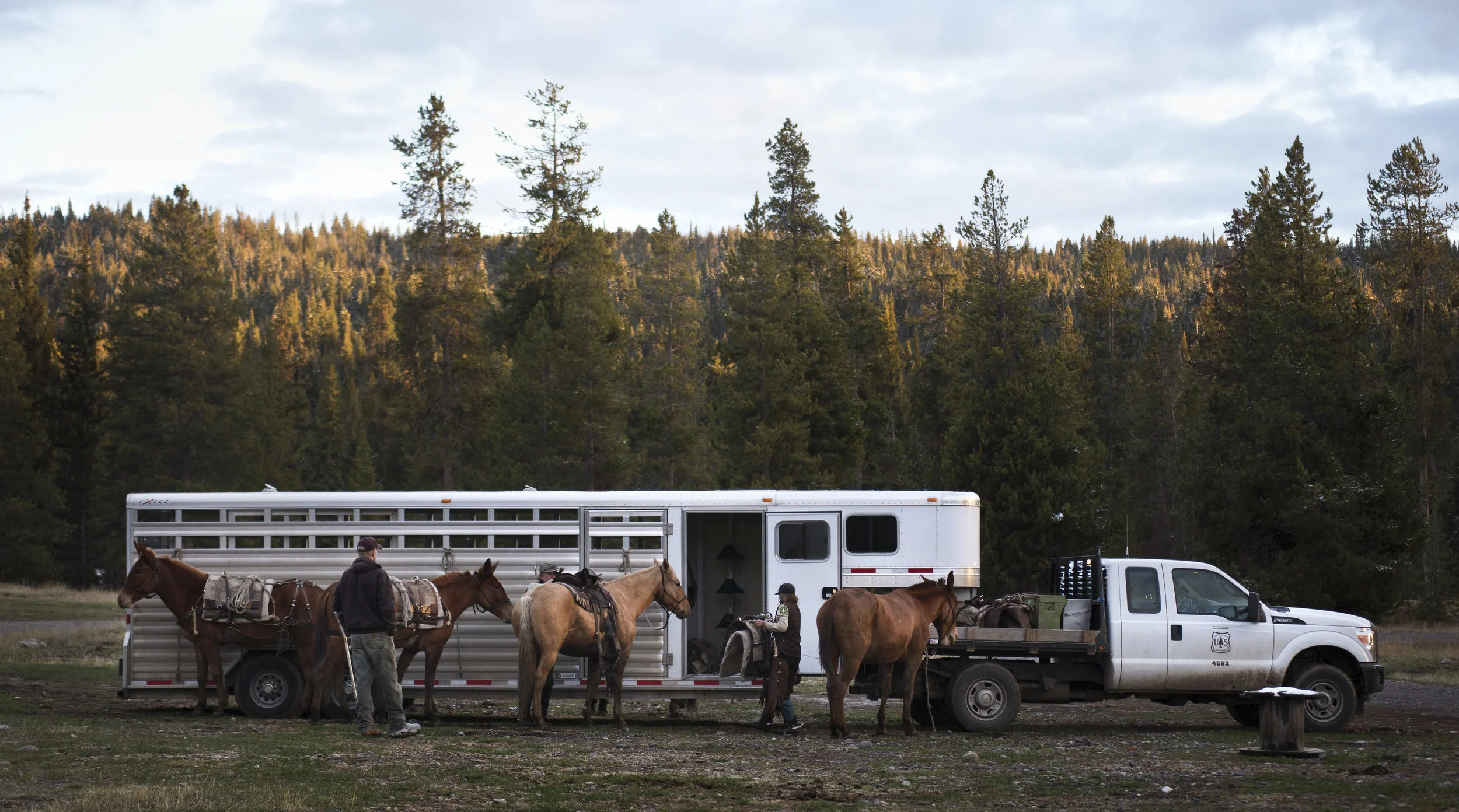 20161116 b blm mustangs 14.jpg