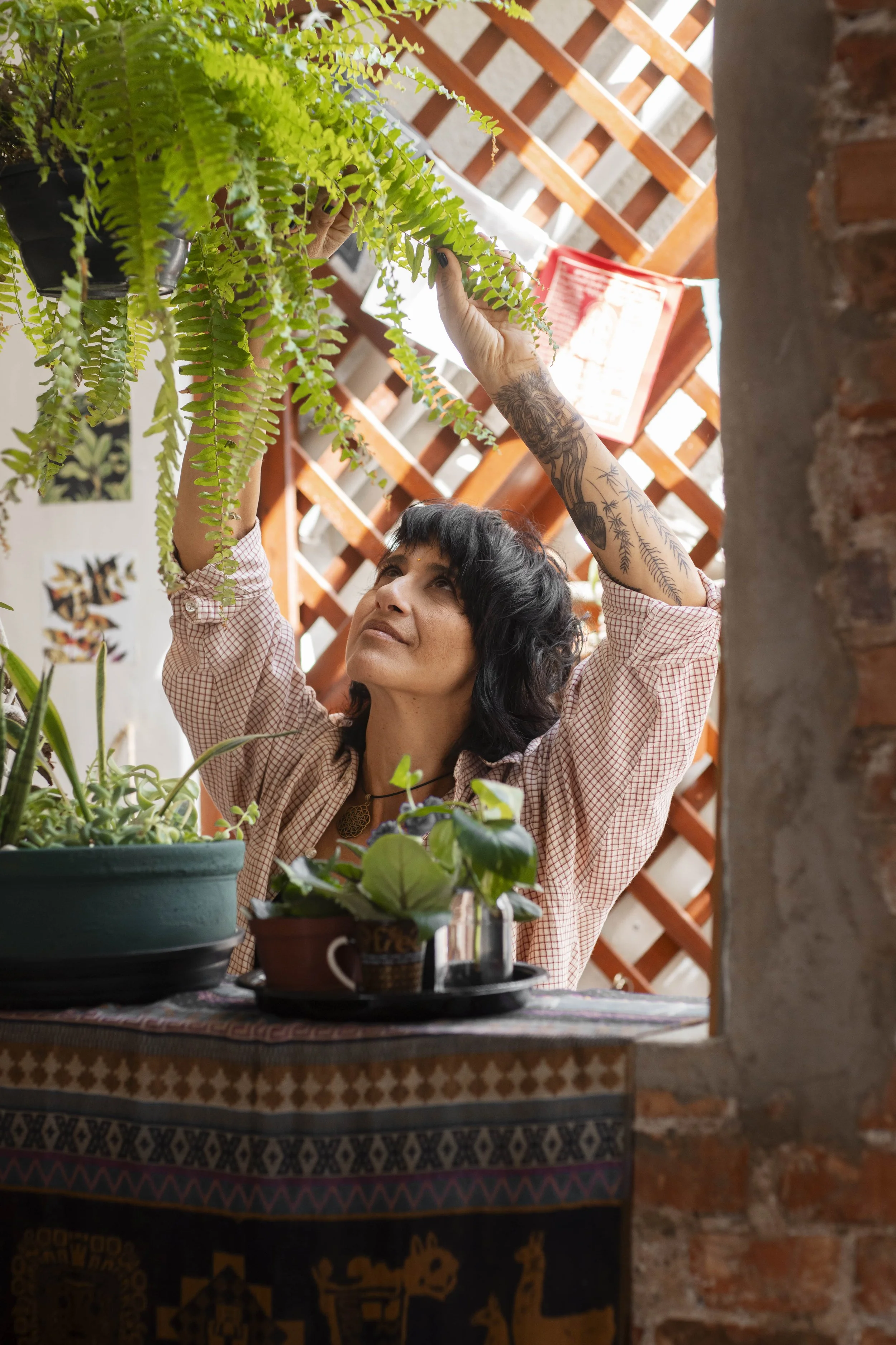 Bringing Nature Indoors with Connecticut Home Renovations