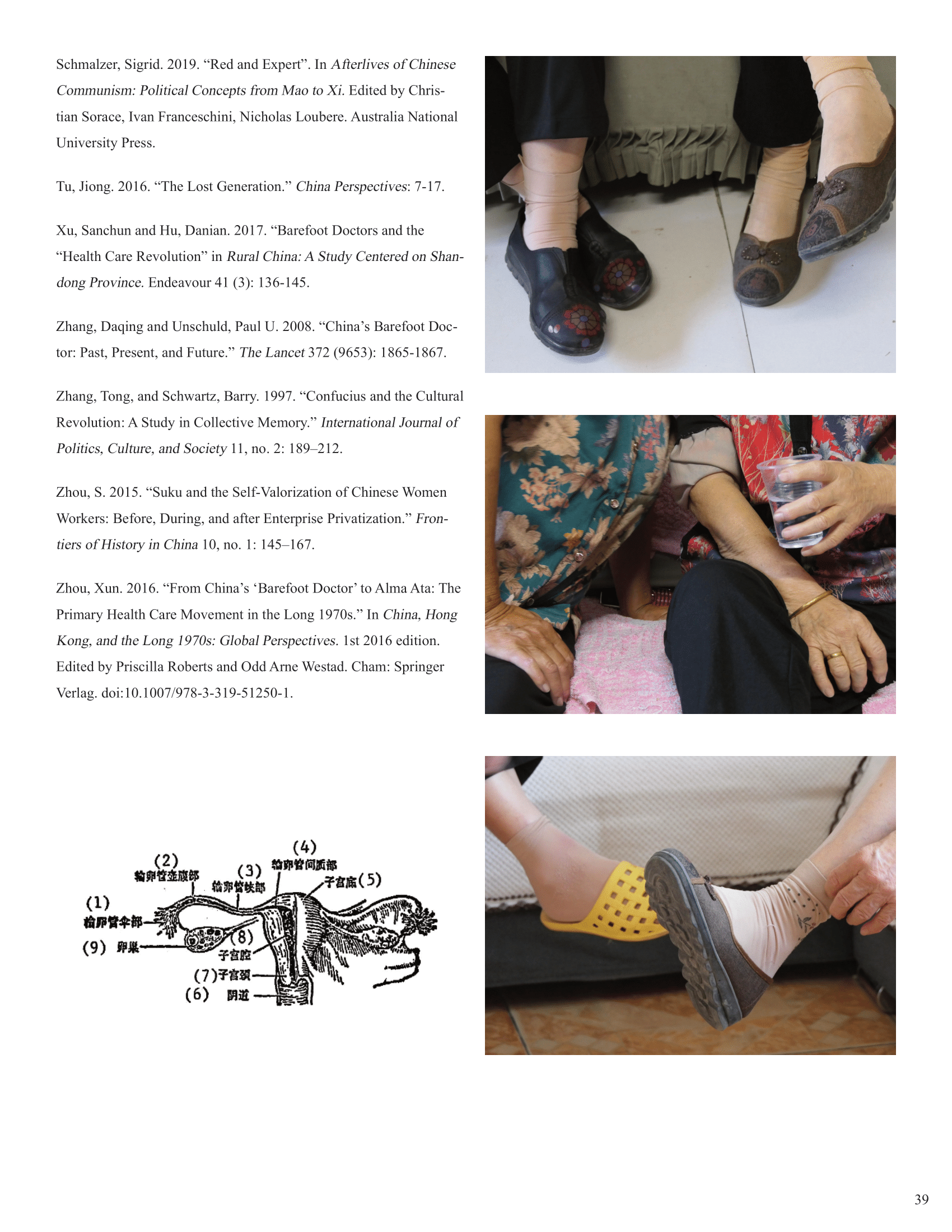 Zhang, Faye_Final Project, Memoir of a Barefoot Doctor-39.png