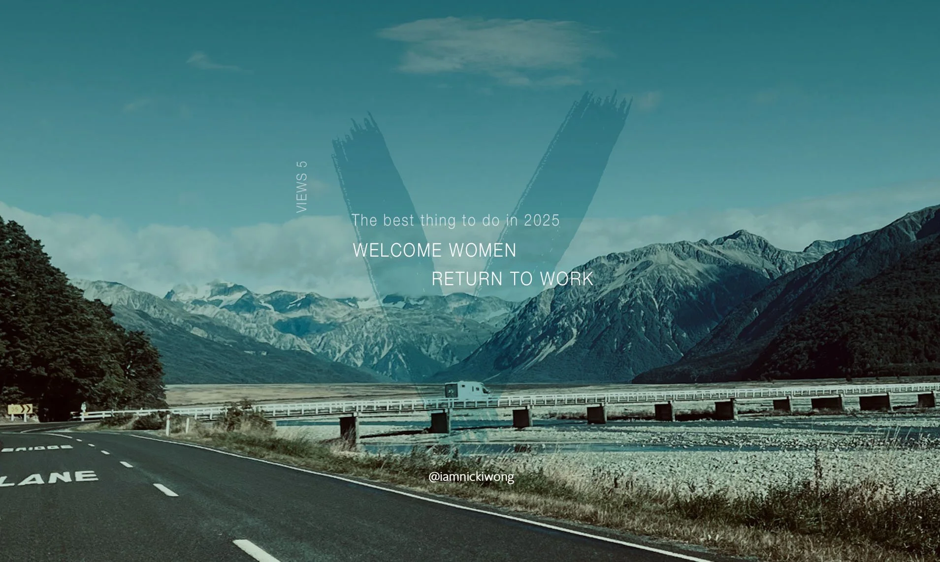 iamnickiwong website 2025_VIEWS_5 2024.jpg