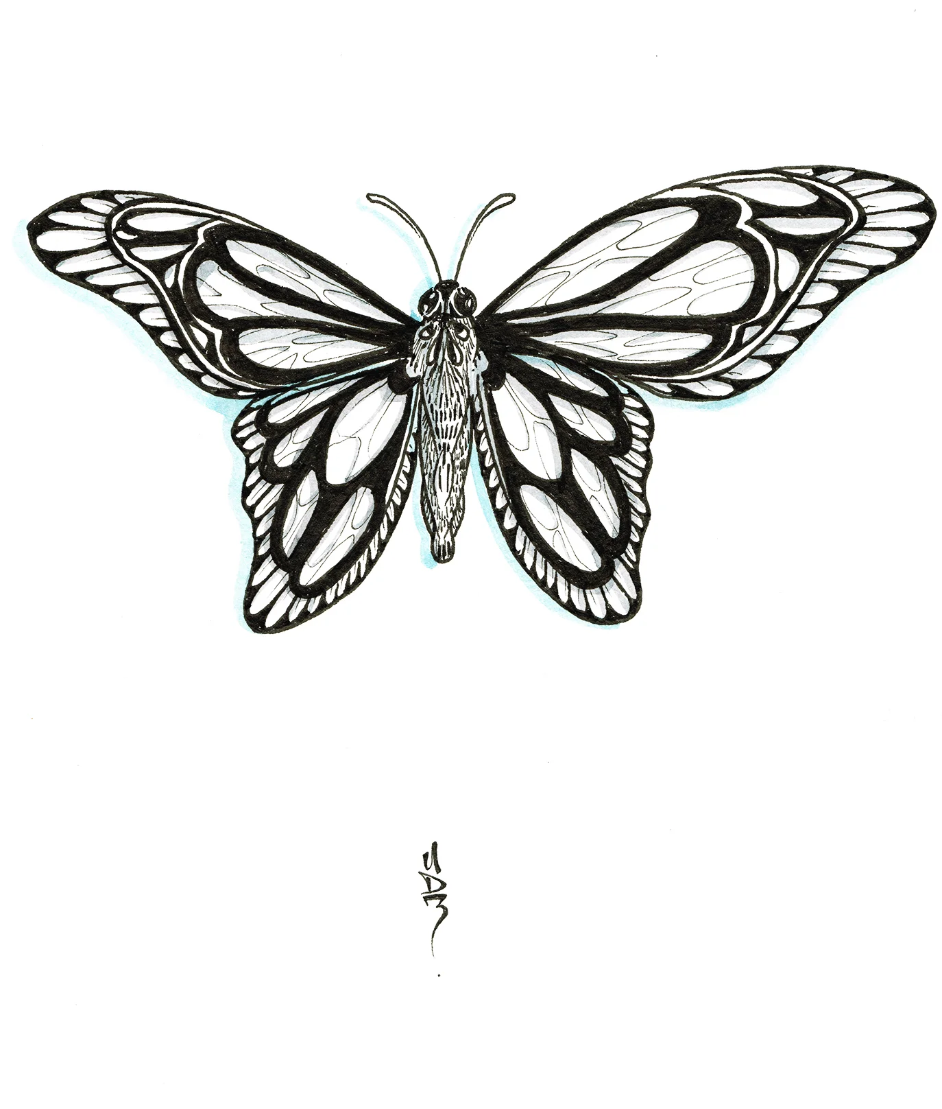 butterfly-small.jpg