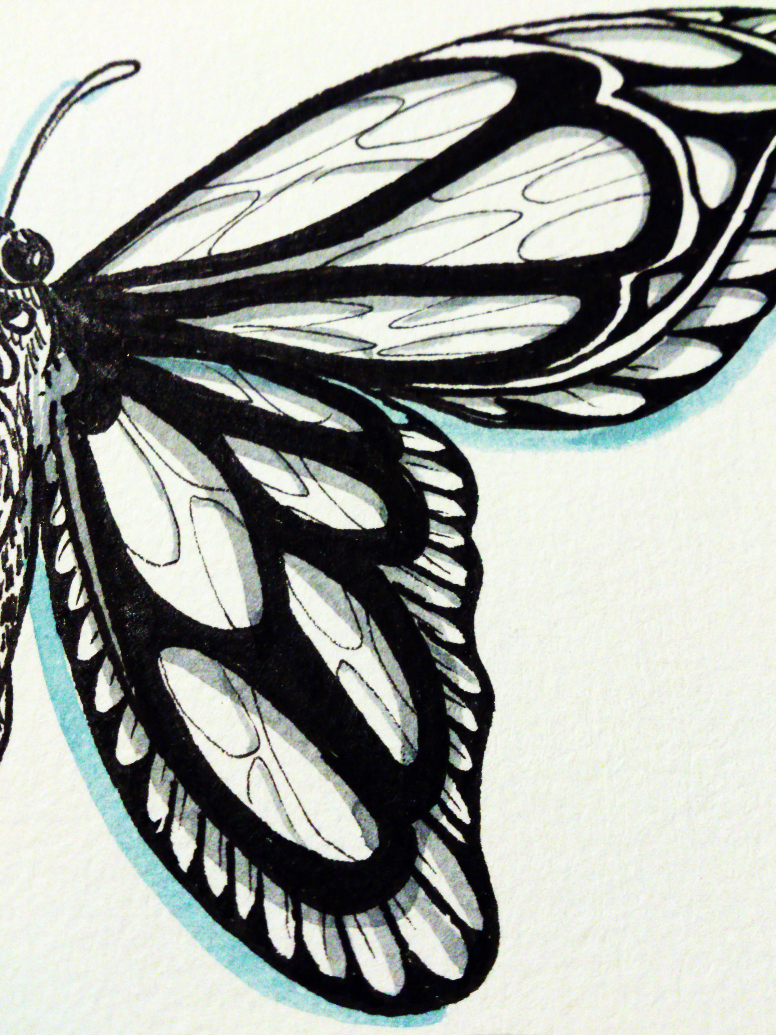 ink-158.jpg