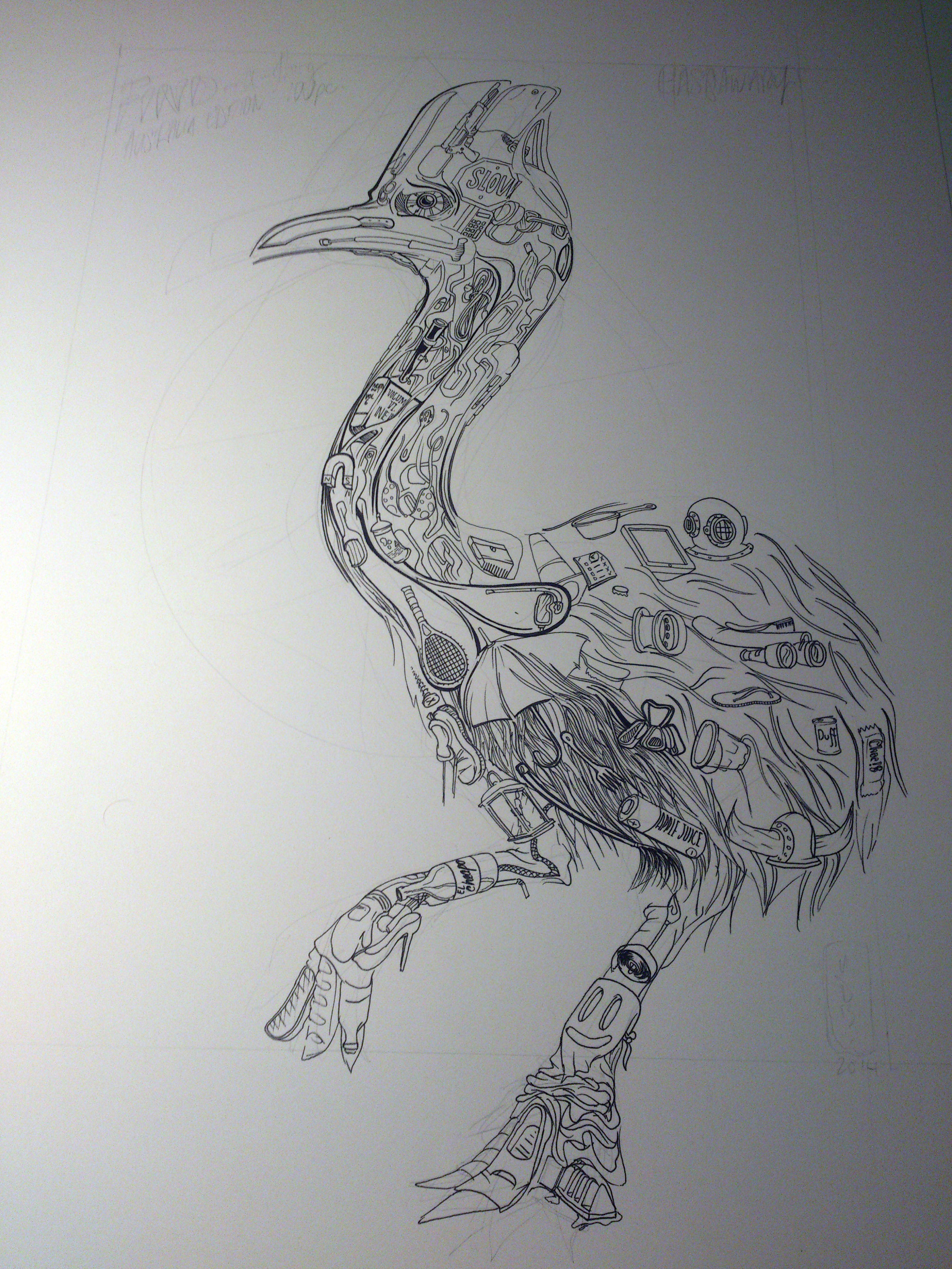 cassowary-progress.jpg