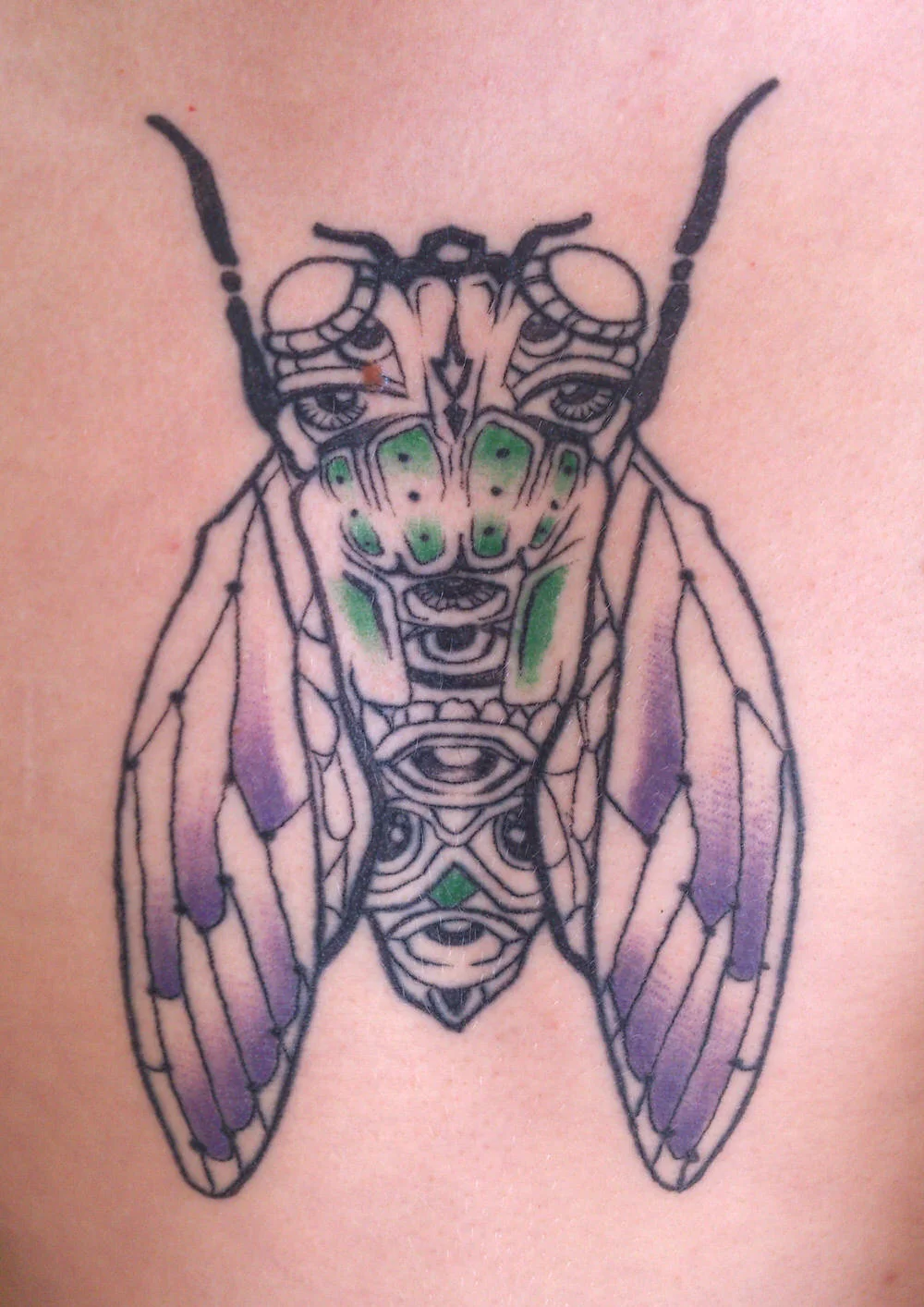 cicada-tattoo-close-up-ink-insect-chest-sam-shennan-ud3-sydney-tattoo-designer-in-skin-pretty-colourful-line-flano-1.jpg