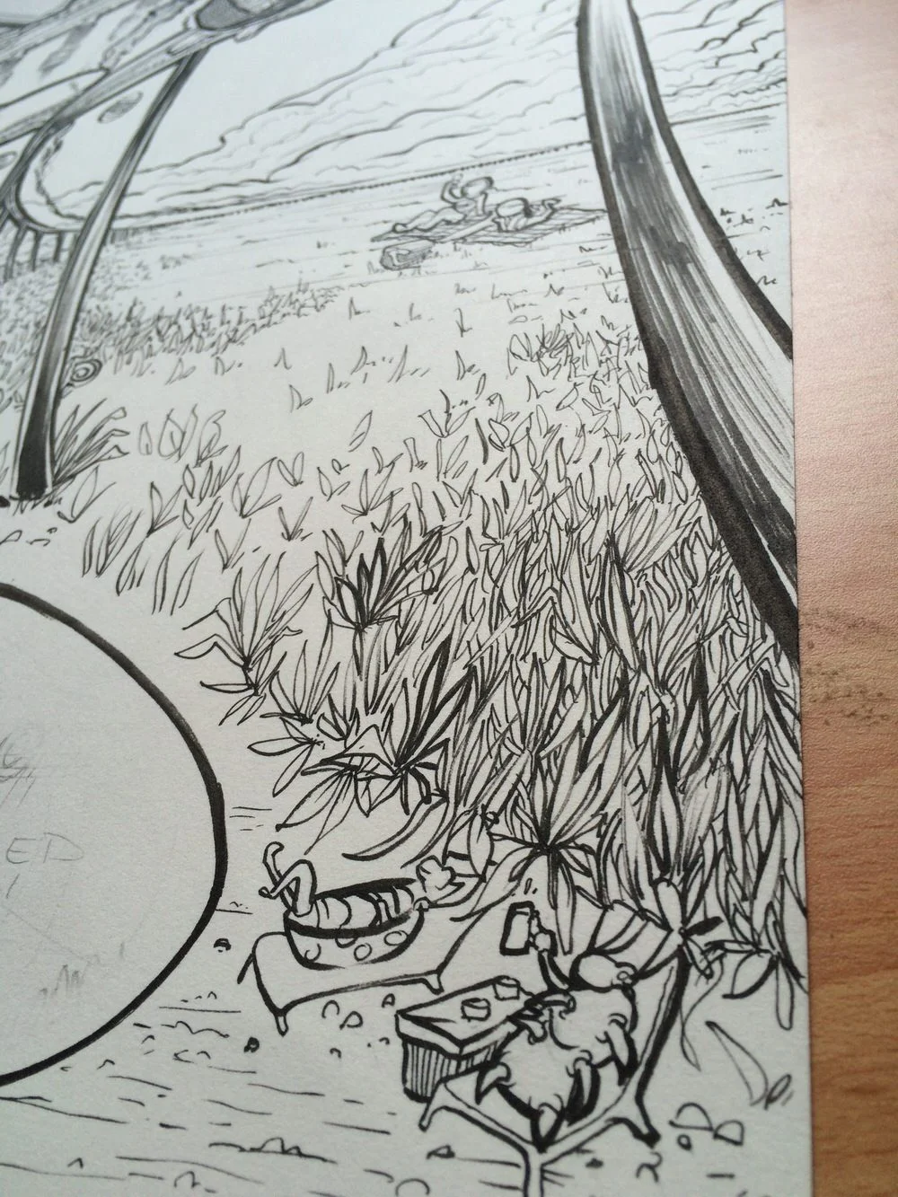 2015-01-28 18.07.25-1.jpg