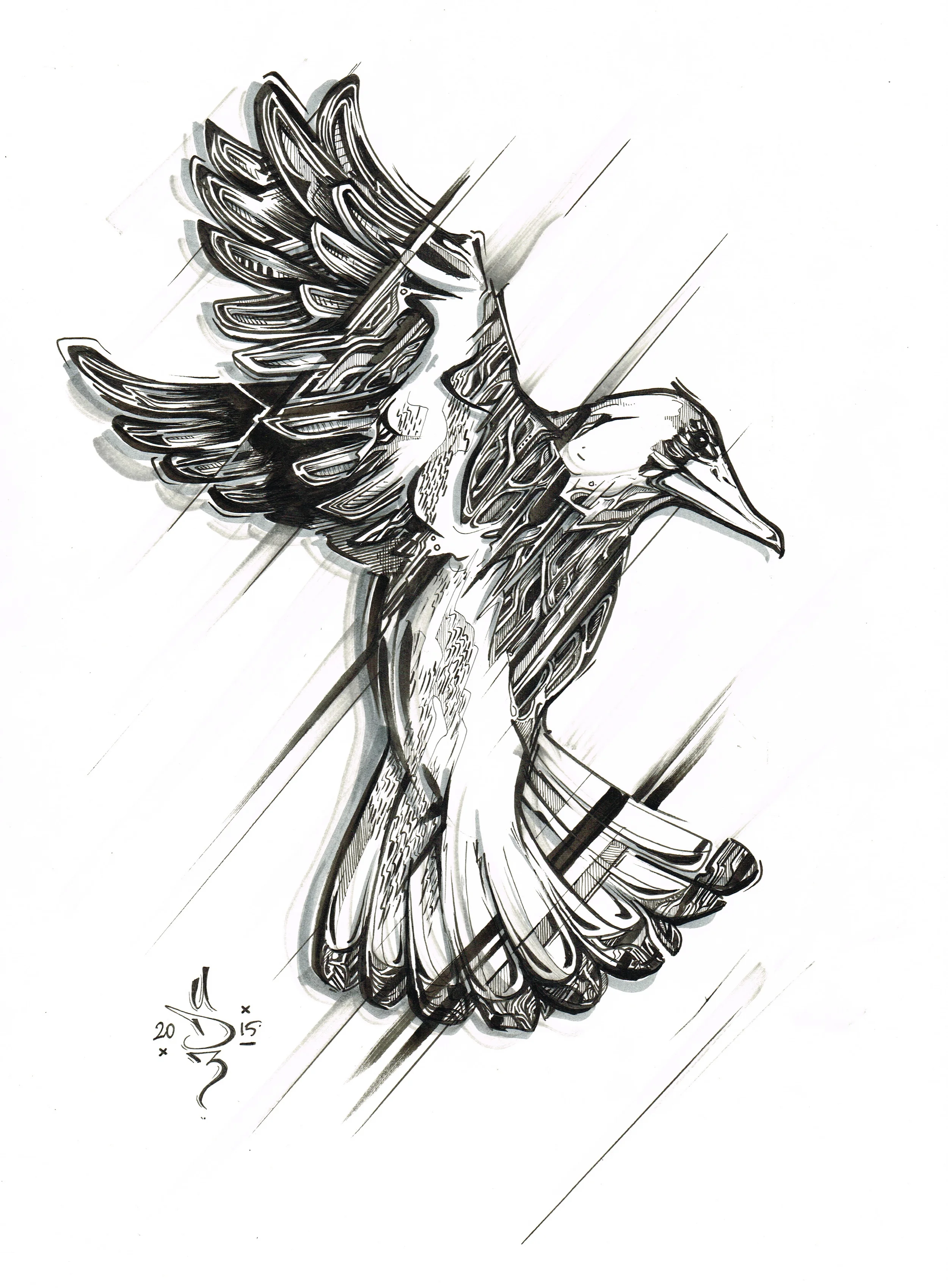 1200-rory-magpie-col 1.jpeg