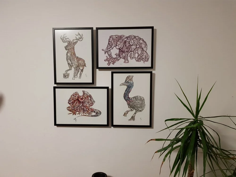Four find a things in their new home