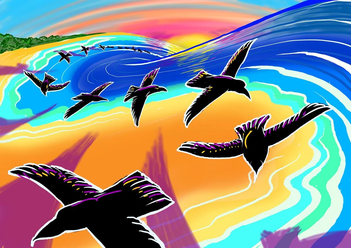 Lenovo sketch birds flying over beach