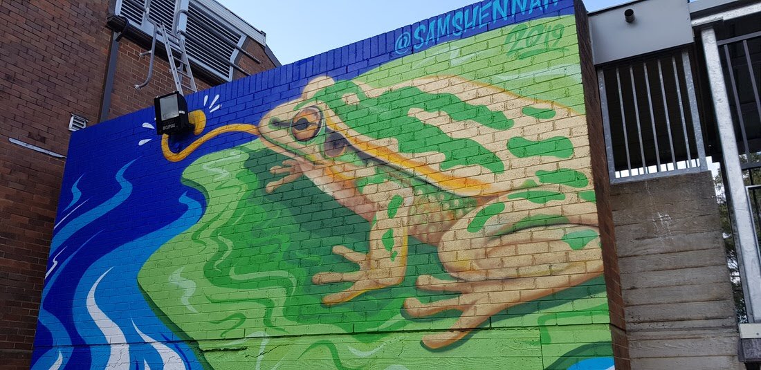 Picnic Point High School Green and Gold frog mural sam shennan science street art wall commission38.jpg