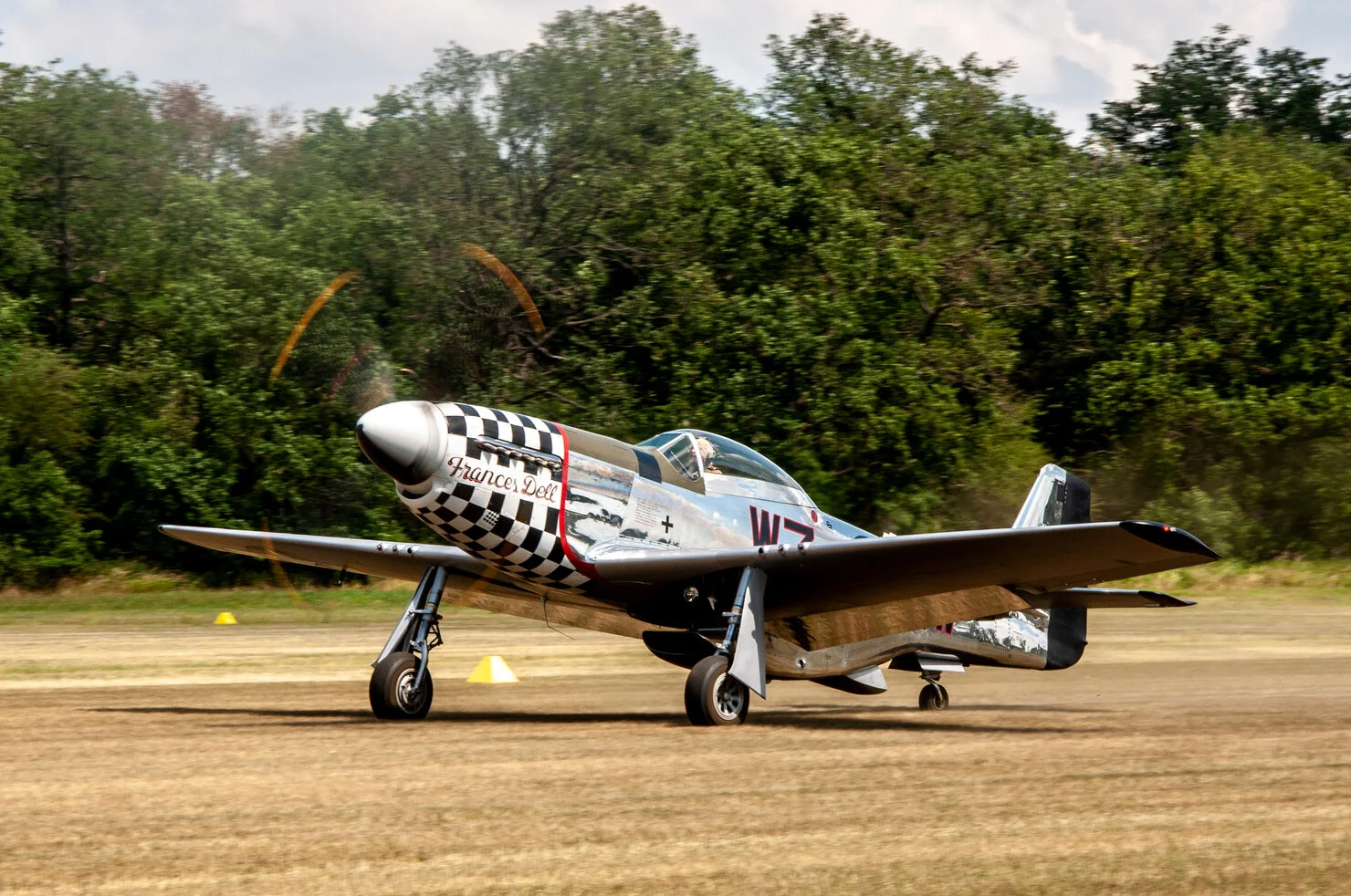 DSC_0655ab.JPG