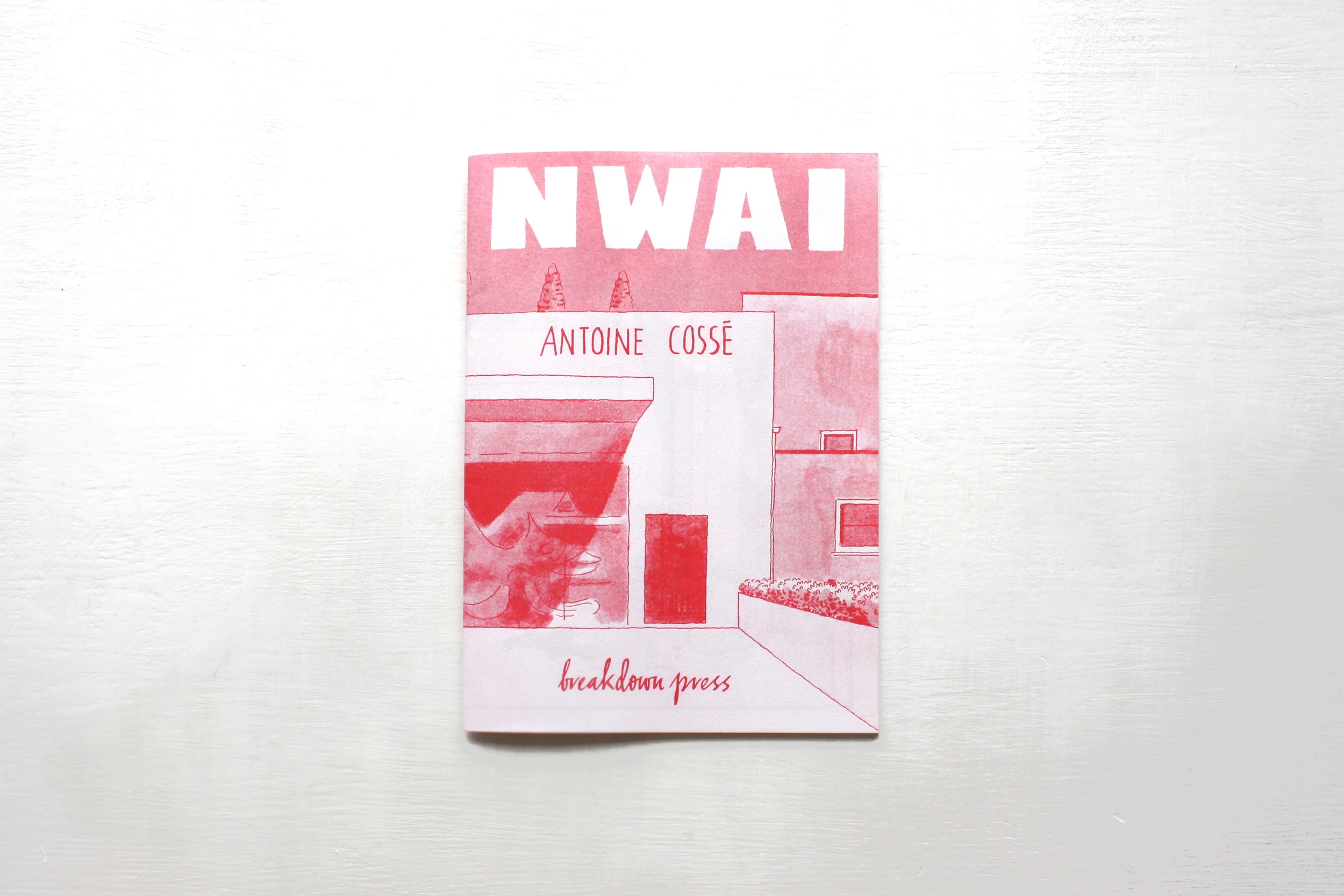 NWAI01.jpg