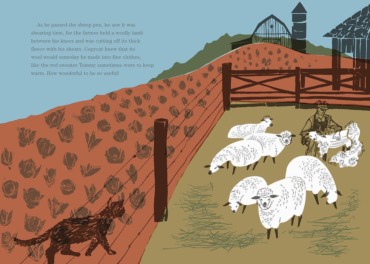 C6.jpg