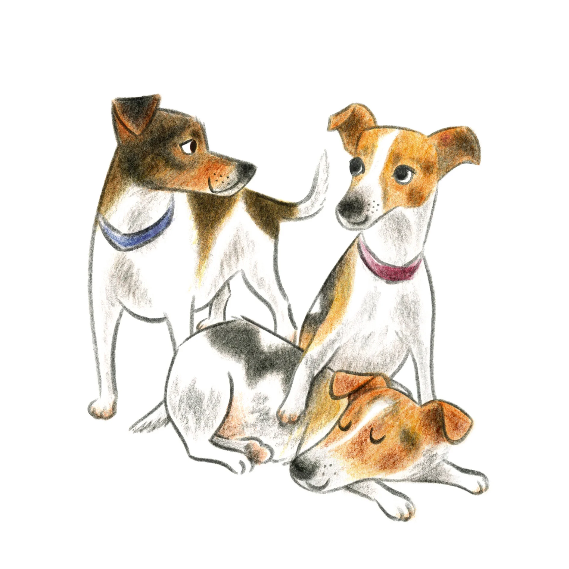 Dogs_Illustration_Ailsa_Burrows_Jack_Russells.jpg