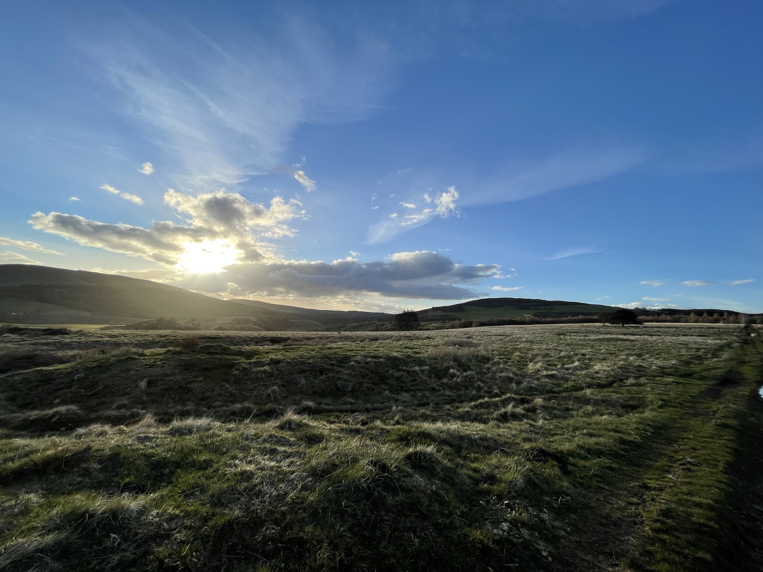 Summer evening view towards the cottage