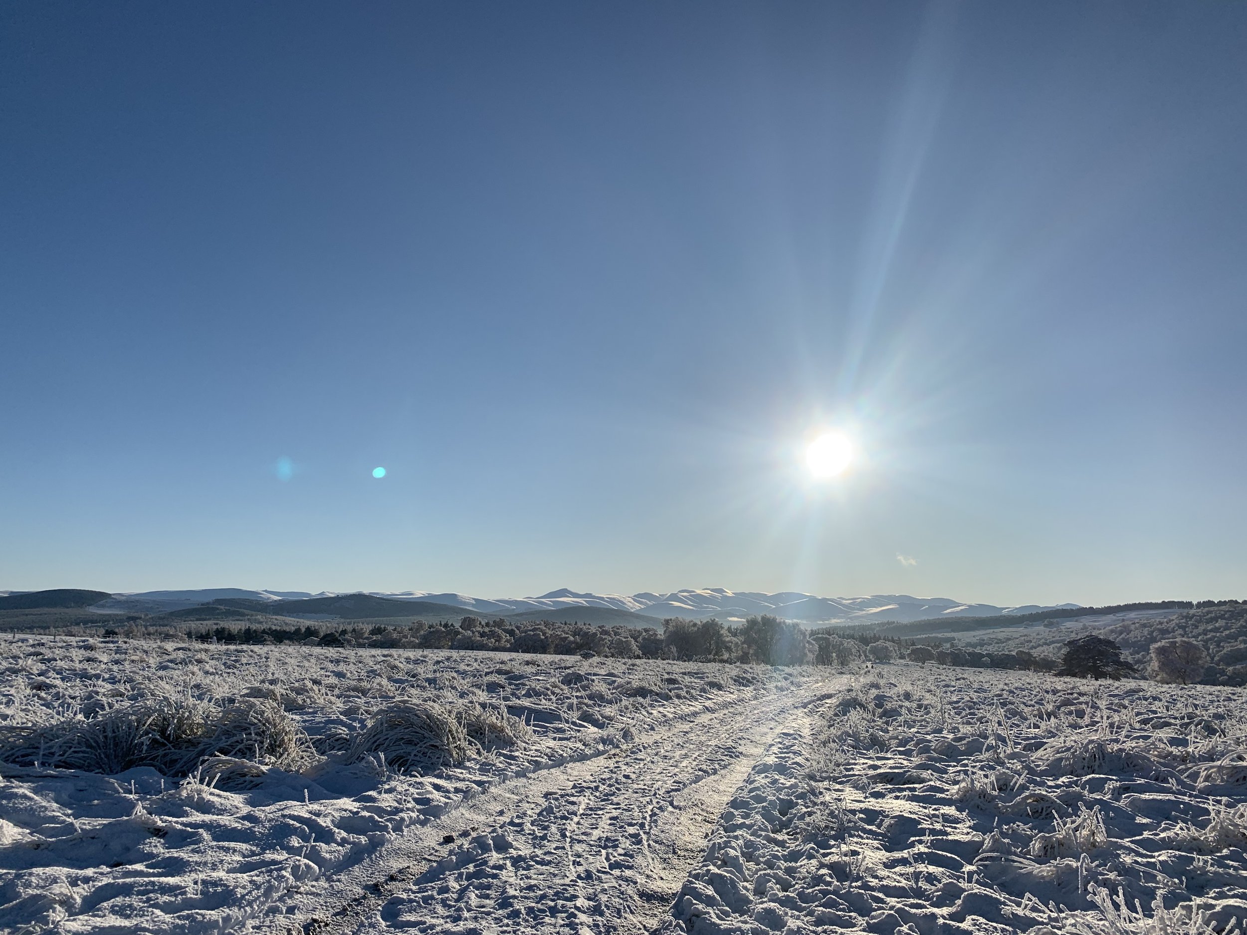 Winter walk from the cottage