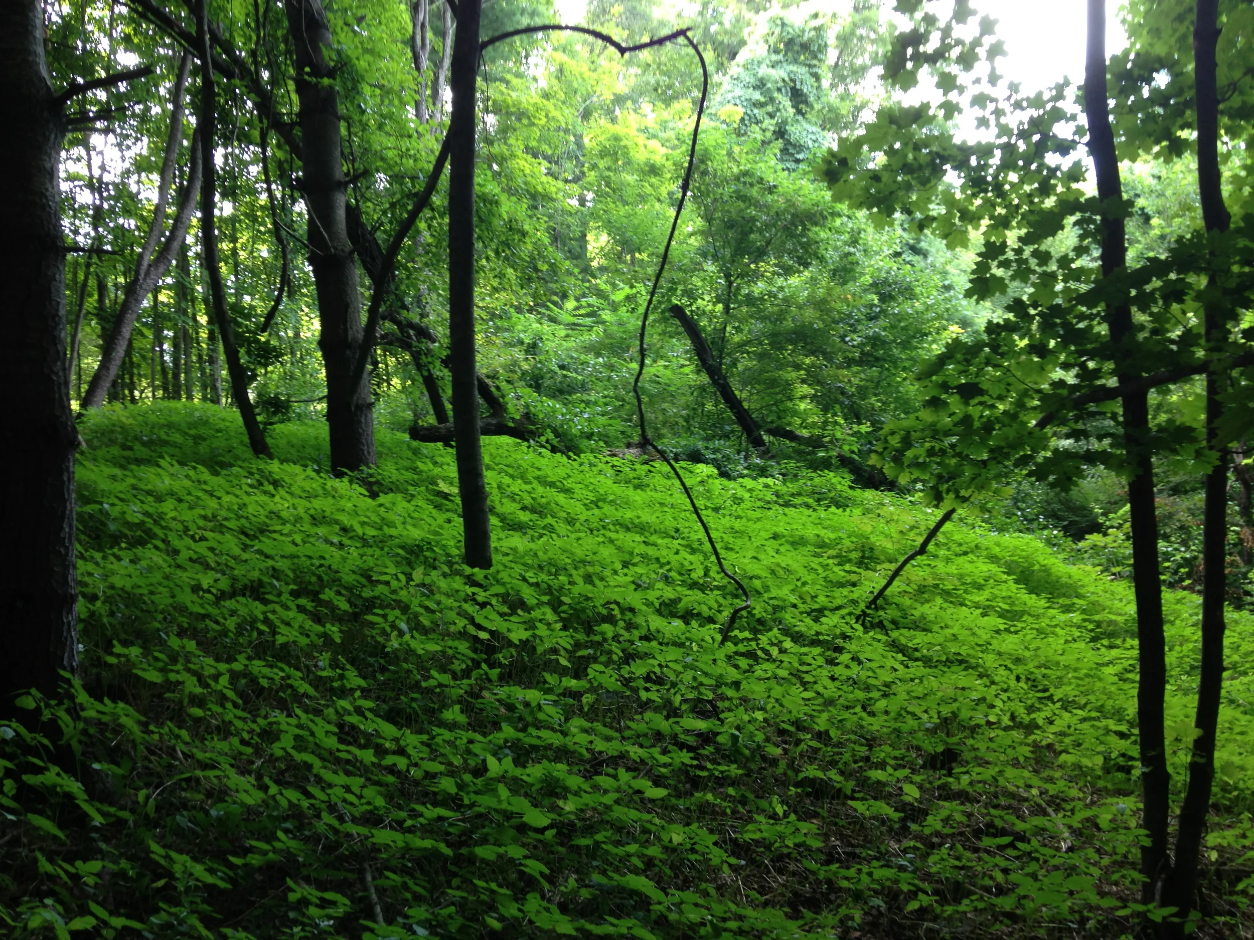 AT - Berkshires, MA