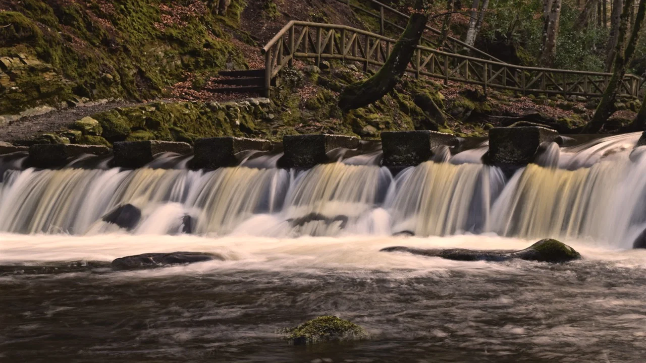 Tollymore Forest Park - Castlewellan, Northern Ireland