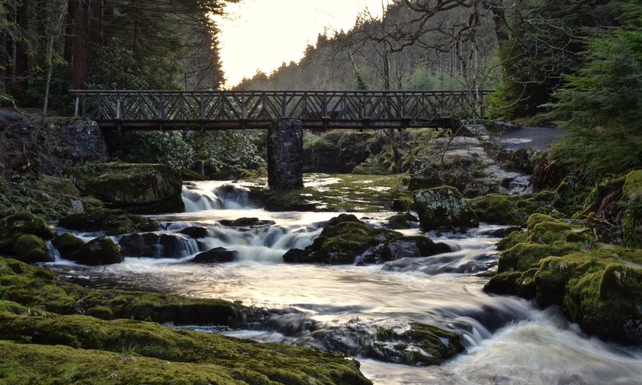 Tollymore Forest Park - Castlewellan, Northern Ireland