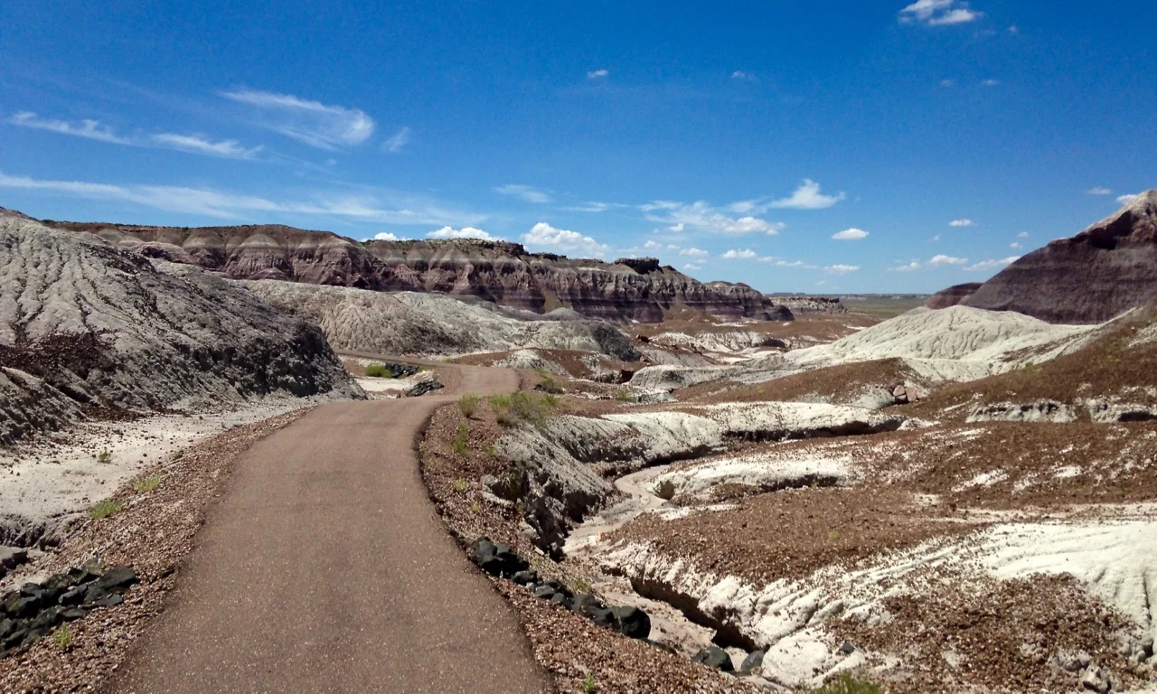 Petrified Forest National Park - AZ