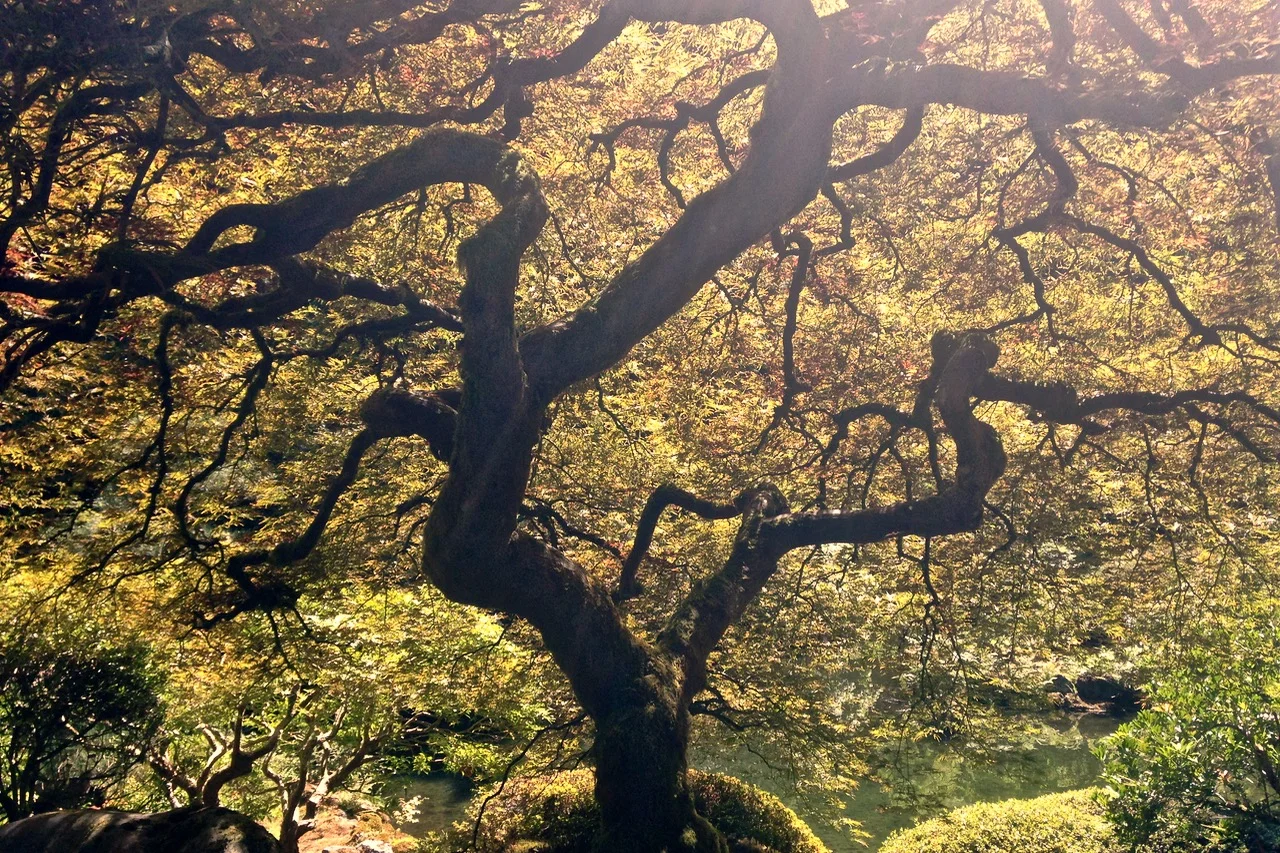 Portland Japanese Garden - Portland, OR
