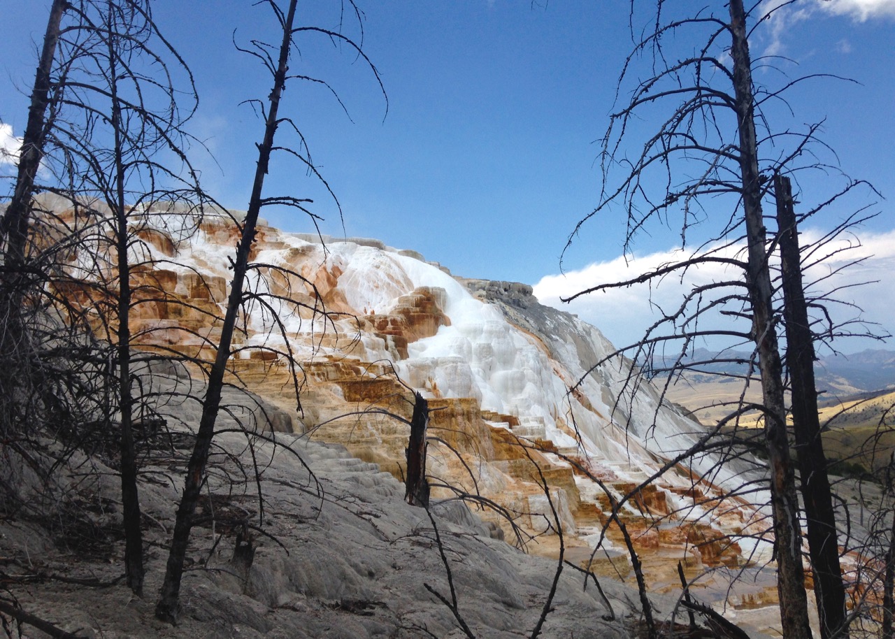 Yellowstone National Park - WY