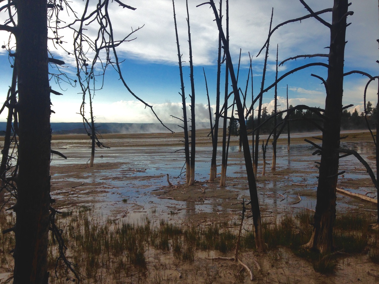 Yellowstone National Park - WY
