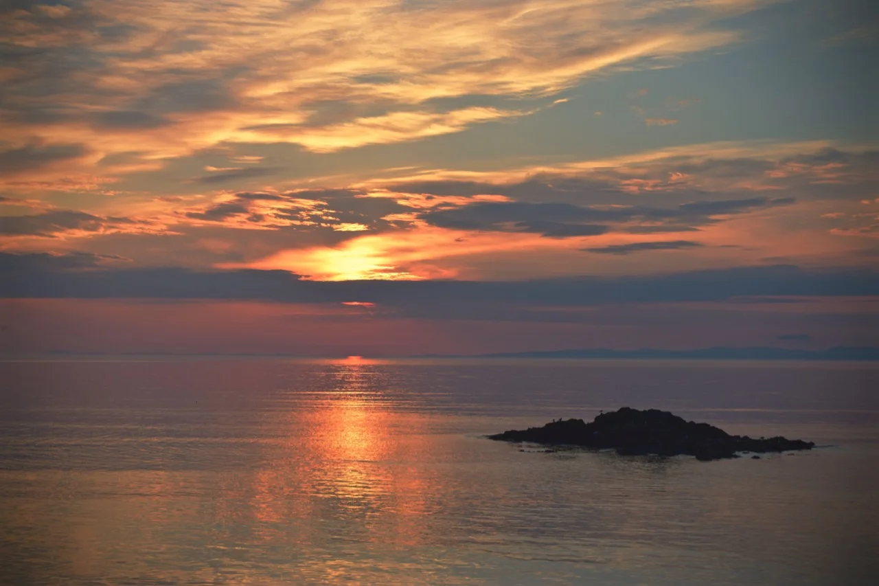DSC_0119.jpg