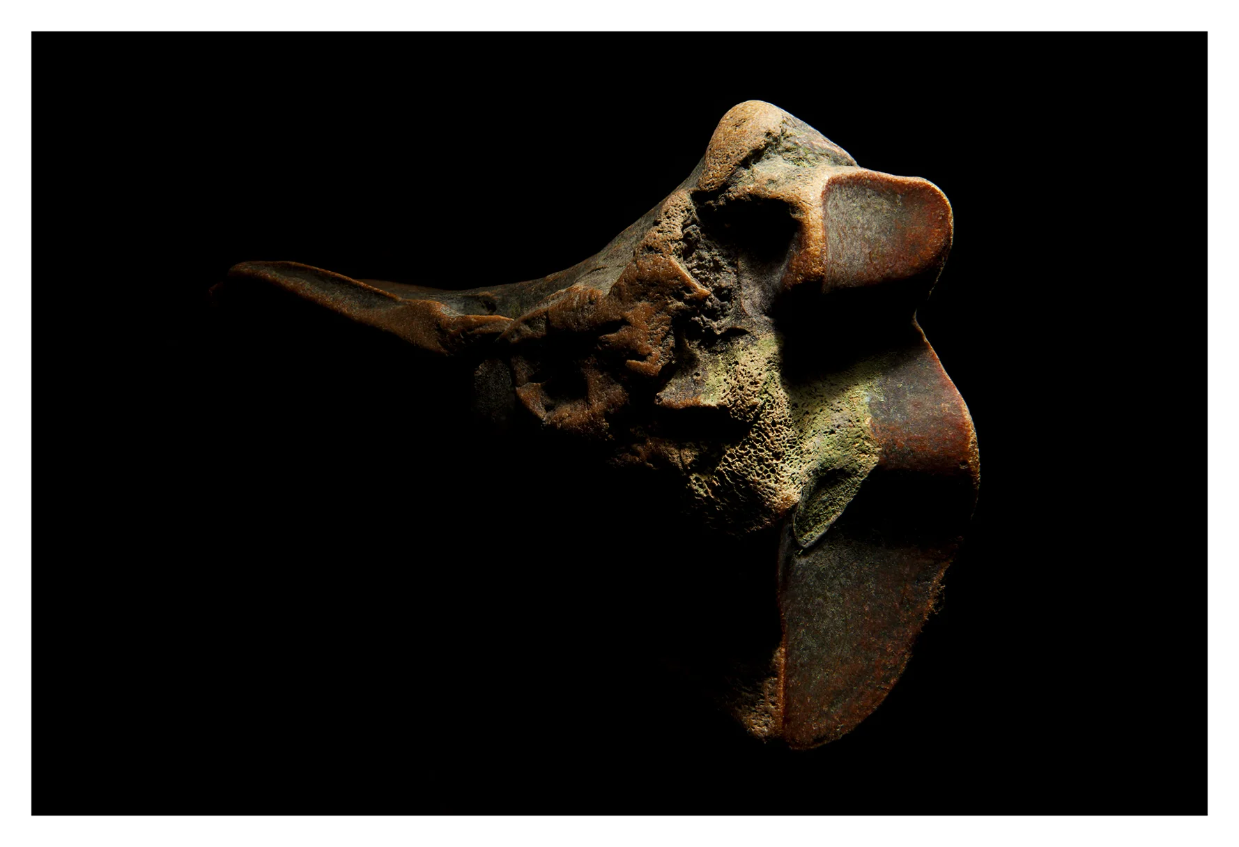 London_Portrait_Photographer_Fine_Art_Photography_Still_Life-001.jpg