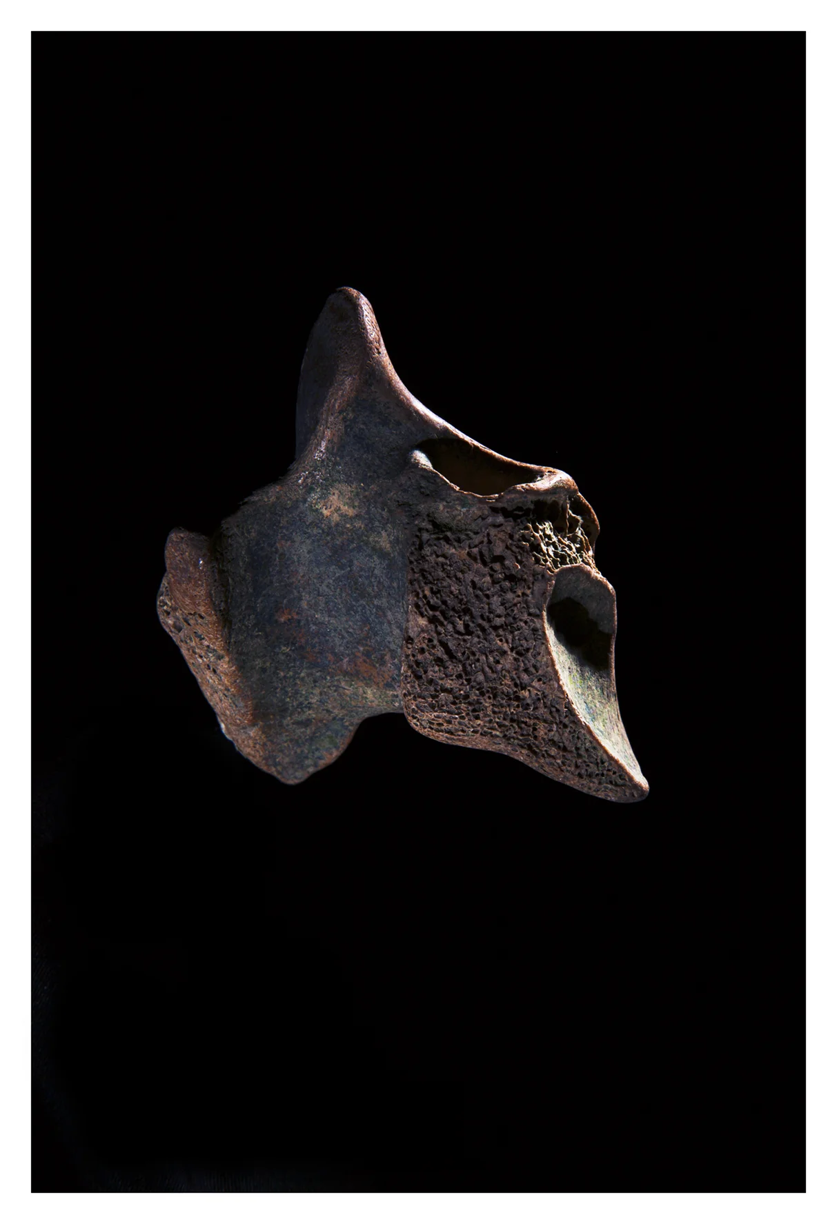 London_Portrait_Photographer_Fine_Art_Photography_Still_Life-002.jpg