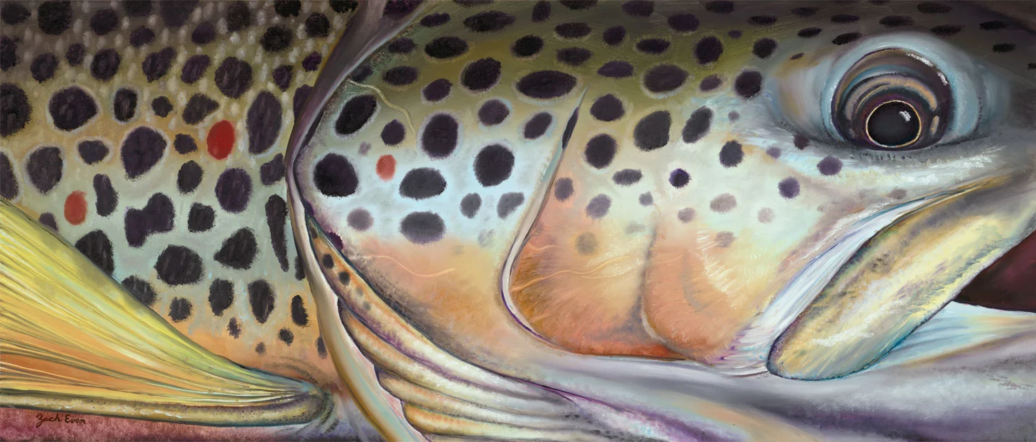 Tarpon Fishing Art Print